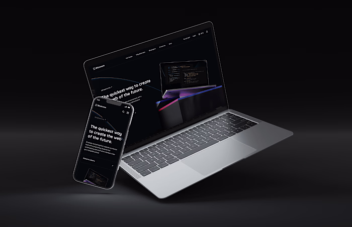 Bitstream, a rapidly expanding headless CMS :: Behance