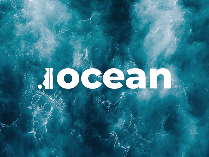 Modern Brand Identity for Project Ocean