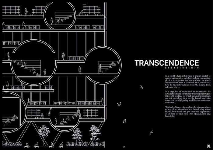 TRANSCENDENCE