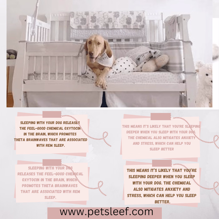 professional infographic desin