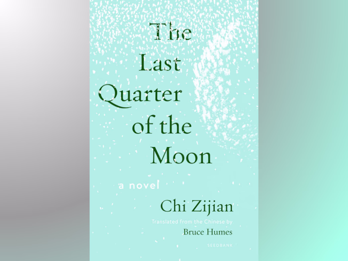 The Last Quarter of the Moon by Chi Zijian 