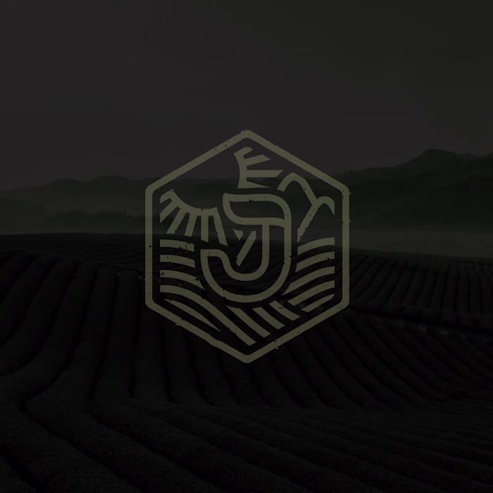 Joora Tea Logo design and Branding