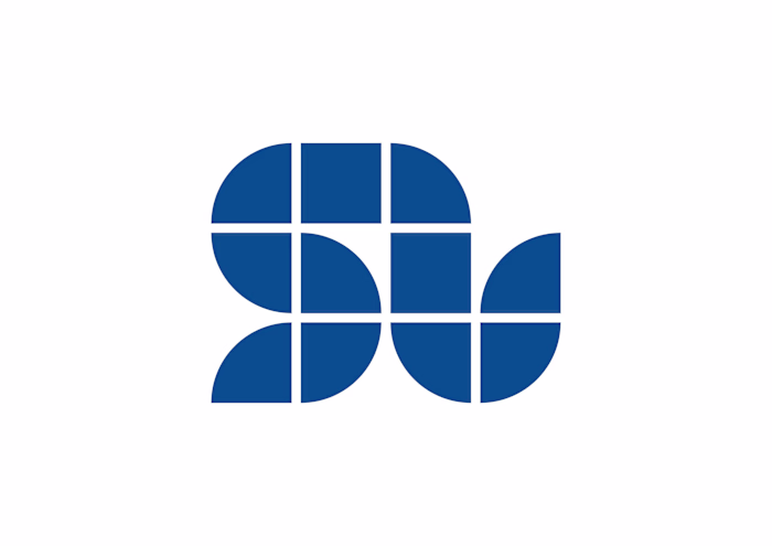 Logo & Packaging Design: Solo Motor Controllers
