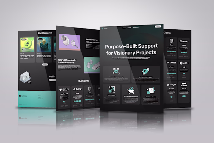 Conversion-Focused Website Design for Amagi