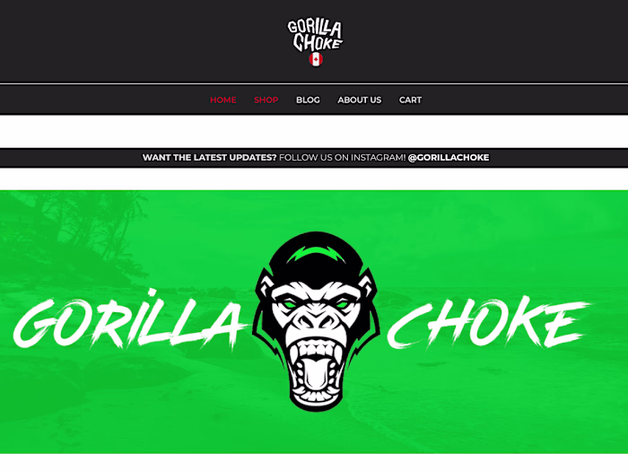 Ecommerce Wordpress