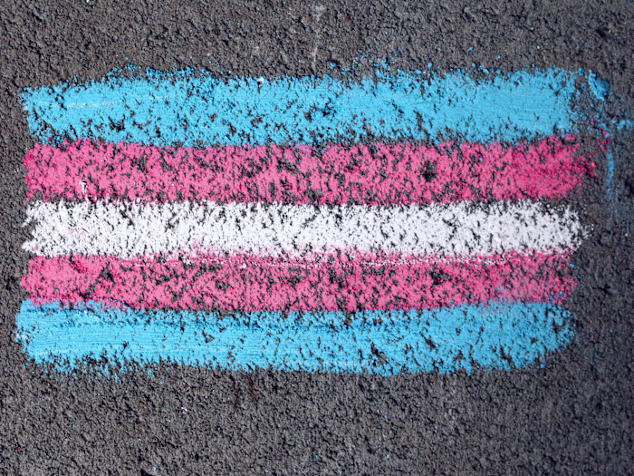 Gender/Transgender Talking Points
