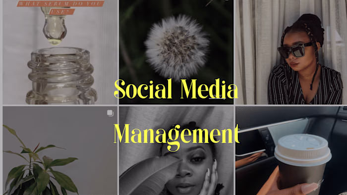 Social Media Manager