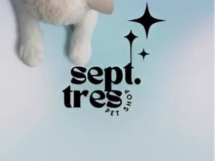 Septiembre Tres Pet Shop| Coordinadora de Proyecto