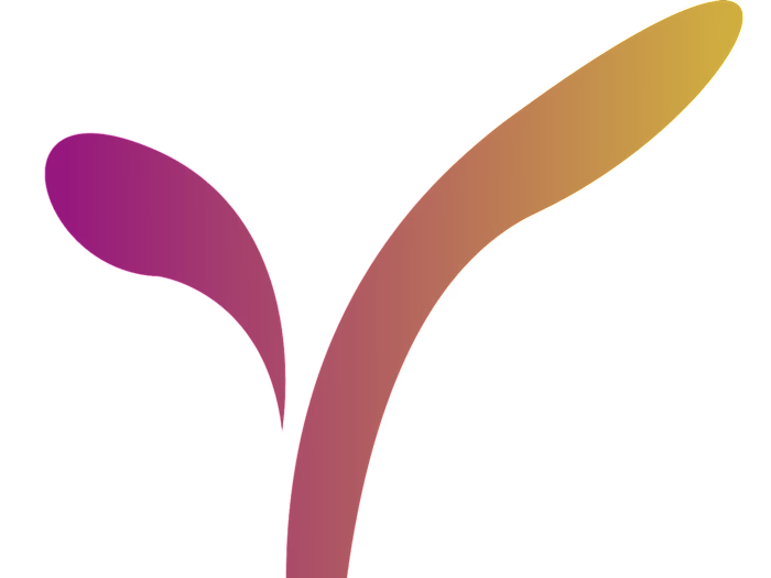 IT Consultant - Paylogue Nigeria Limited