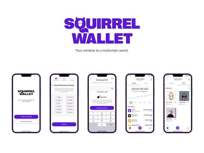 Squirrel Wallet 