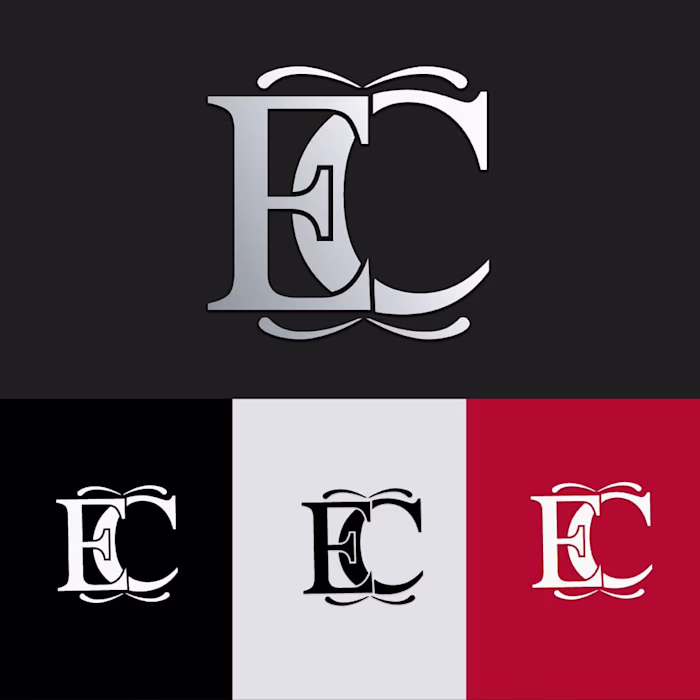 This logo had potential ✨ But the concept? Not bold enough t...
