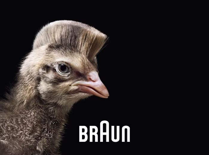 Braun