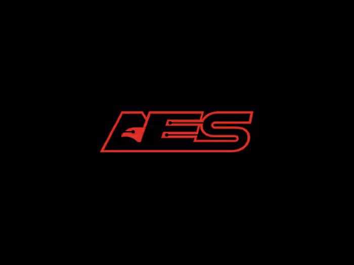 AES ( American Eagle Solutions