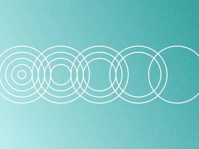 Simplifying a Complex Software