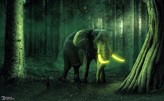 Magic Elephant