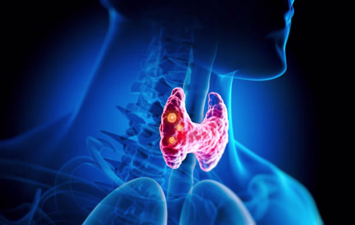 Navigating Thyroid Health: Understanding, Managing, and Thriving