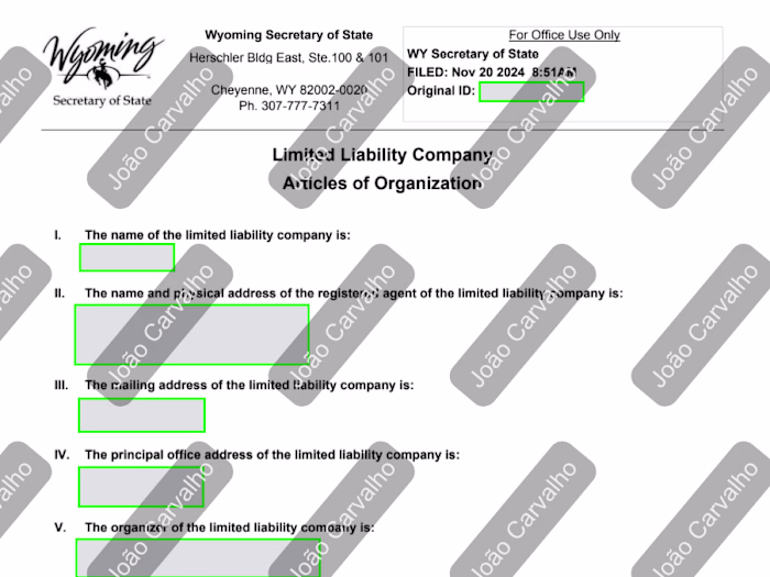 Formation of LLC with Custom Operating Agreement and BOI