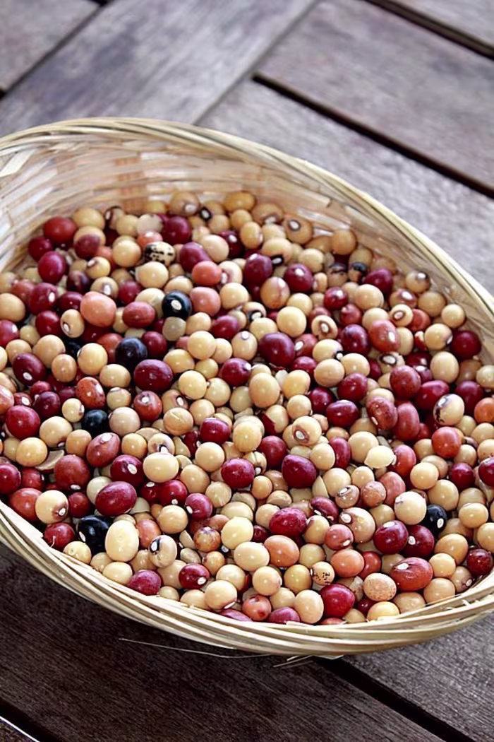 FOODVENTURE: ZIMBABWEAN DISH MUTAKURA
