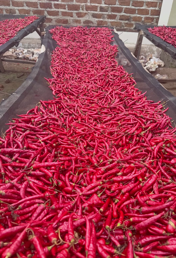 The Heist: From Farm to Luxury Condiment Brand