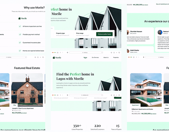 Morile Landing Page- Case Study 