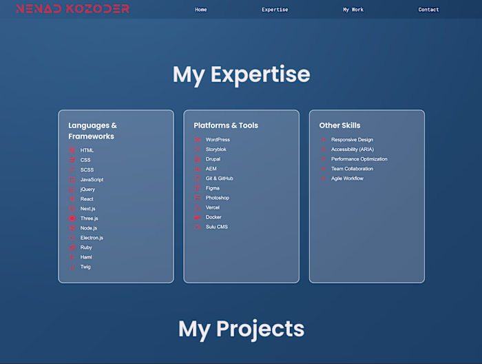 Nenad Kozoder – Senior Frontend Developer
