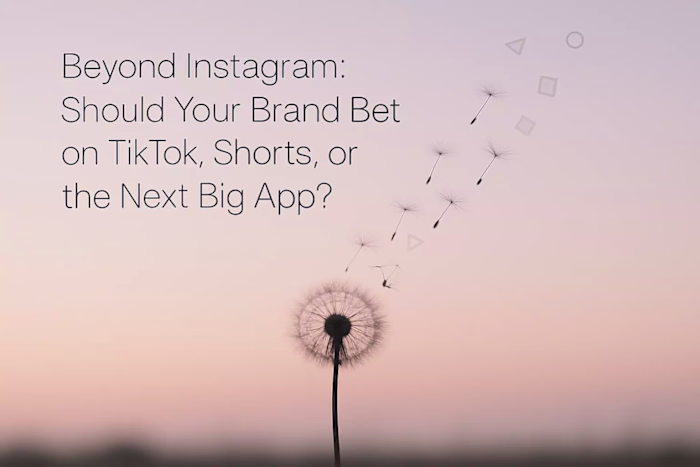 Beyond Instagram: Should Your Brand Bet on TikTok, Shorts, or the Next Big App?