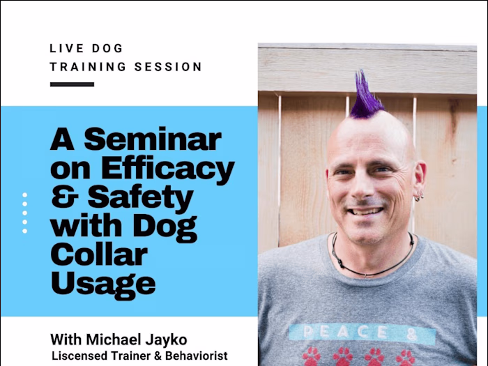 Live Dog Training Seminars