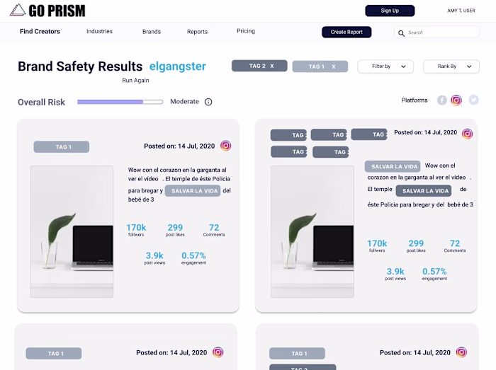 Feature Build & UI Enhancement - Brand Safety Report