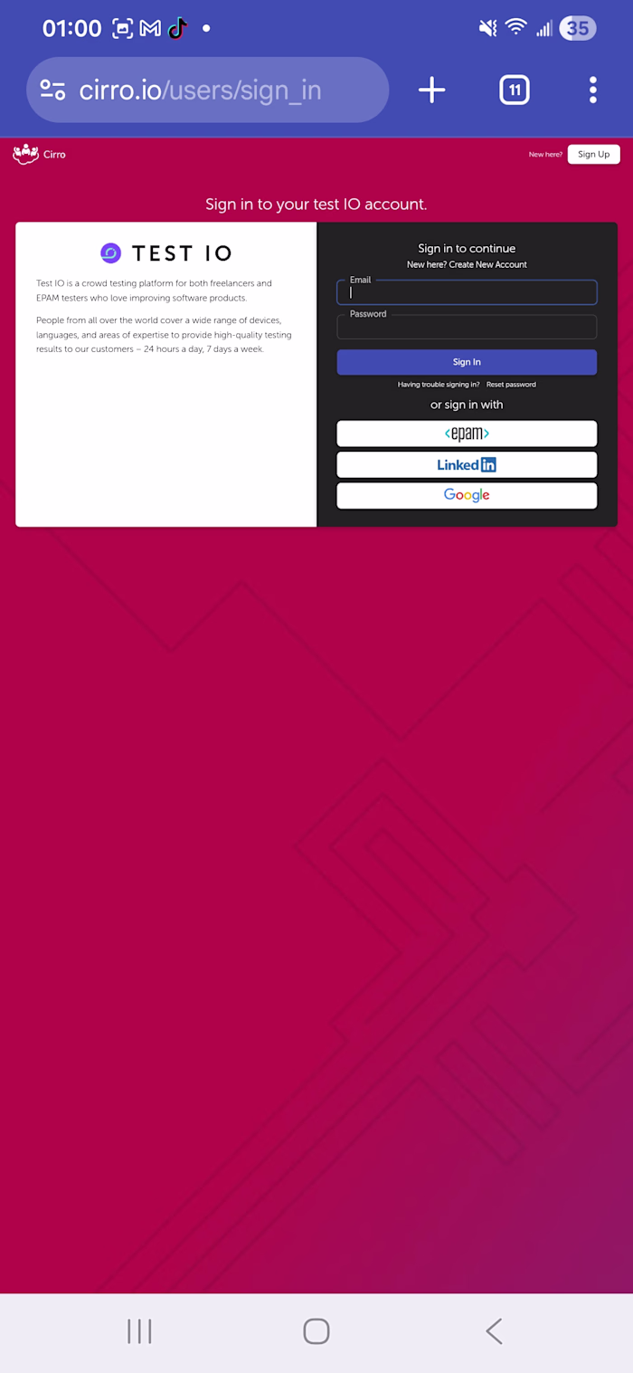 QA & Operations Lead — Test IO (EPAM)
