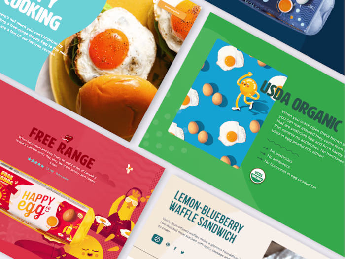 Website Design