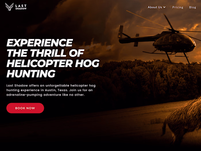 Website for Last Shadow
