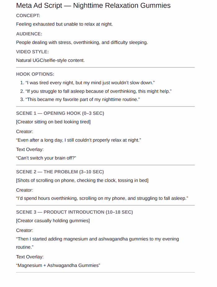 Example Of Meta Ad Script.