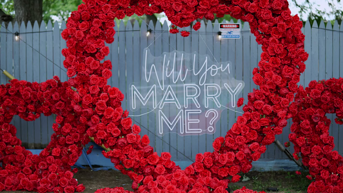 Backyard Proposal Video Production
