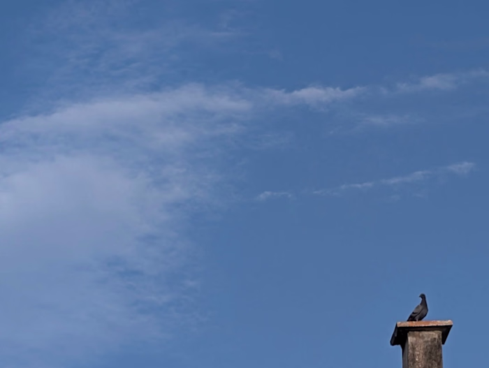 The Boundless Sky