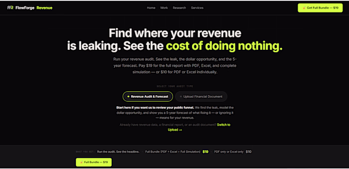 FlowForge Revenue Audit Tool
This is