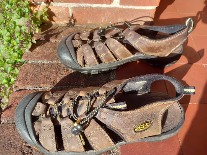 Flip Flop Advertisement 