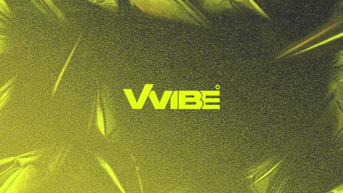 VVIBE 360 Company Profile