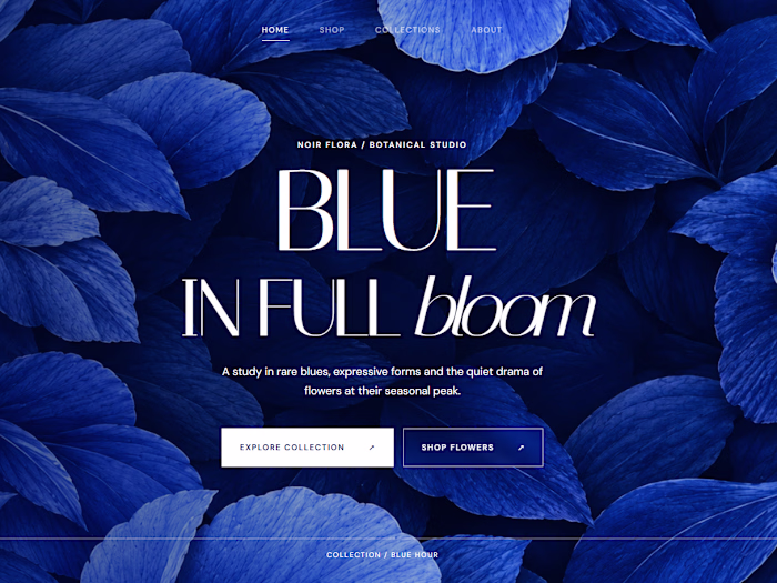 NOIR FLORA — Editorial E-commerce