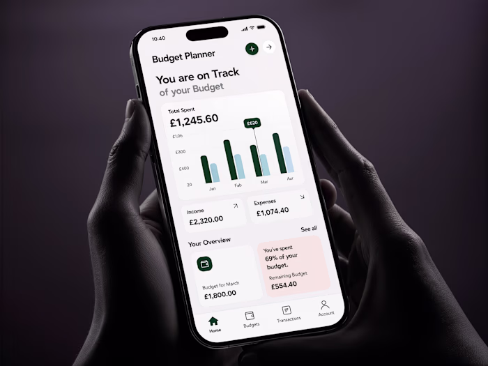 Budget Planner App UI/UX Concept