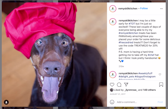Social Media Content Creation for Remy's Kitchen (Instagram)