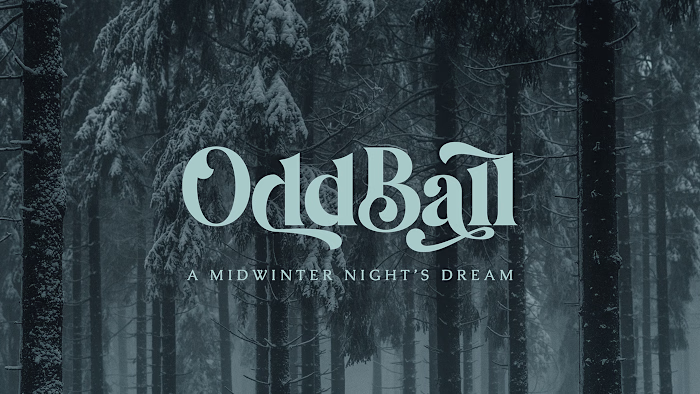 OddBall 2023 // Nonprofit Event Branding :: Behance