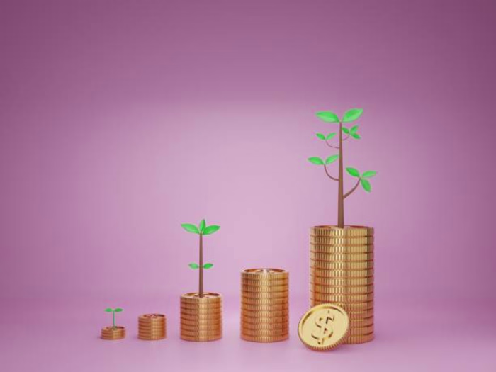 Investment 
