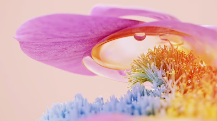 Colorful exploration.