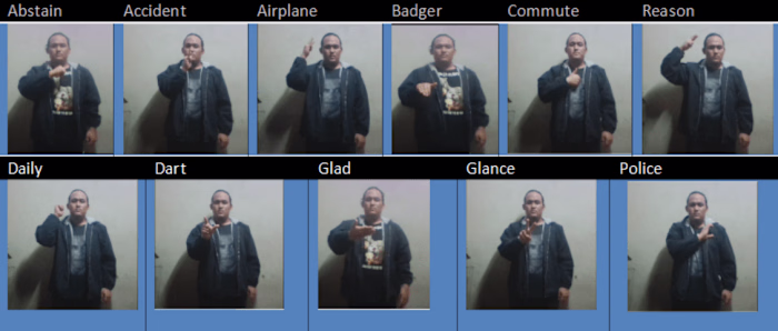 American Sign Language Interpreter using an RGB-D camera and ML