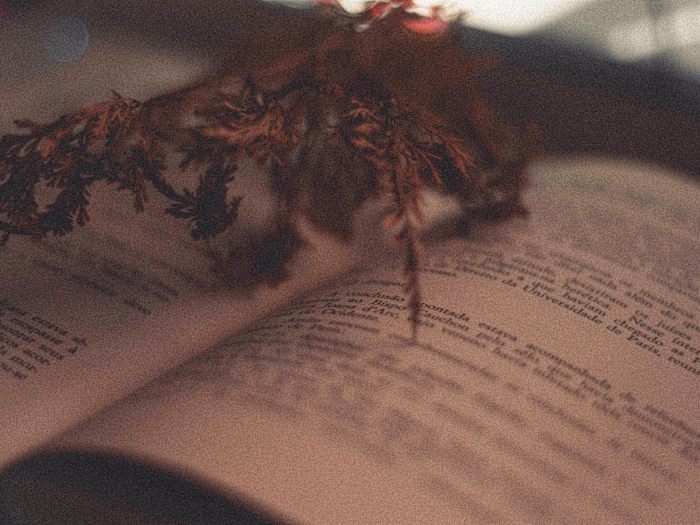 Story Editing