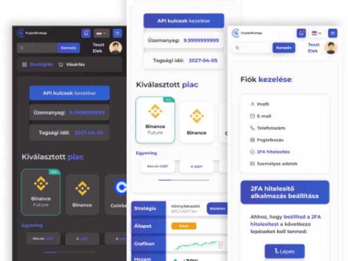 CriptoStrategy  User Interface design