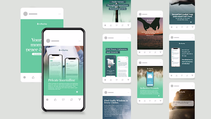 Wellspring Daily App | Social Media Management
