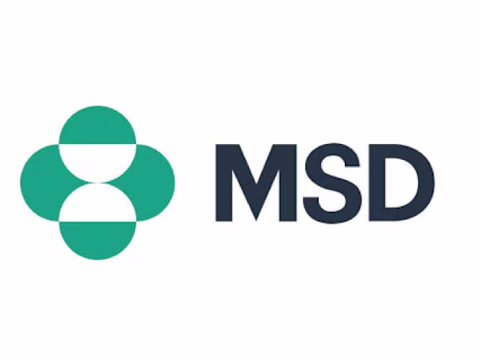 Salesforce Development for Merck's Local Branch