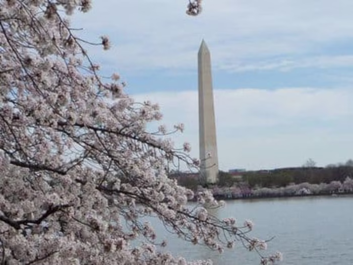 Nursing Course: Legislative Advocacy