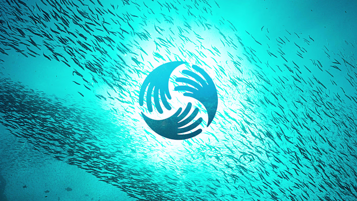 National Ocean Protection Coalition